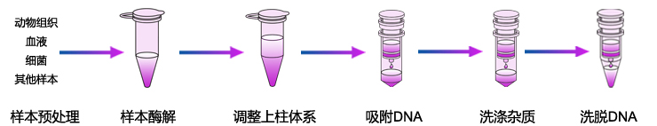 通用基因組DNA提取試劑盒