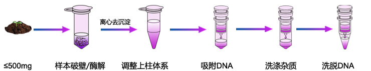 土壤基因組DNA提取