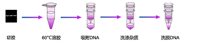 膠回收