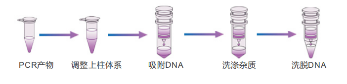 pcr 回收